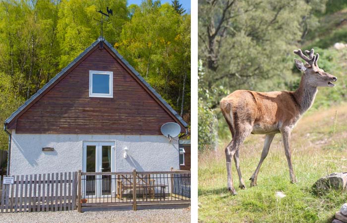 Highland cottage holiday