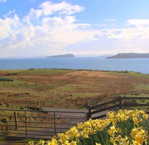 the drive and gate to the house