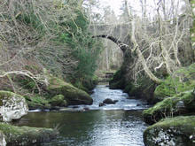 stone bridge