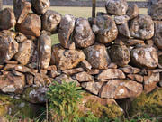 local stonebuilt wall Dumfries and Galloway