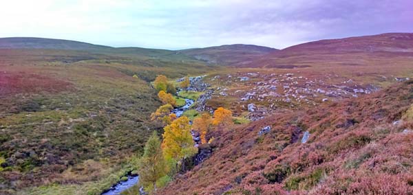 Highland view in the autumn