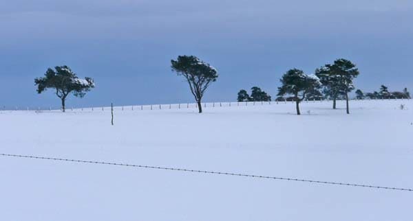 Cross country ski near Glamis