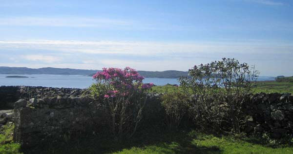 West coast garden with sea view