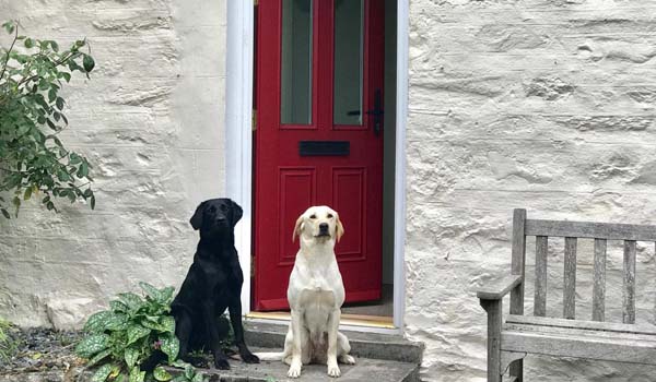 cottage back door - 2 dogs welcome