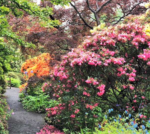 Branklyn Gardens