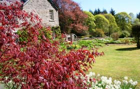 brewlands gardens