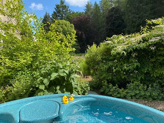 hot tub at Brewlands Lodge