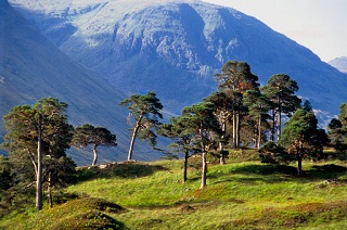 Brewlands Estate perthshire