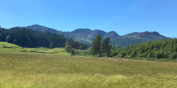 Comrie hills, highland Perthshire