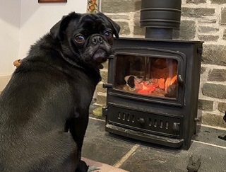 wood burning stove