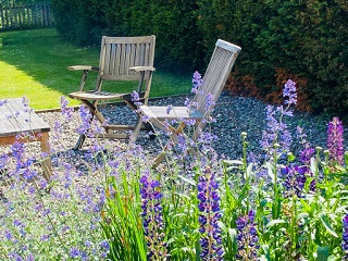 relax outside in the garden