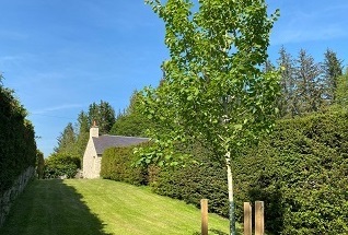 medieval cottage with hot tub