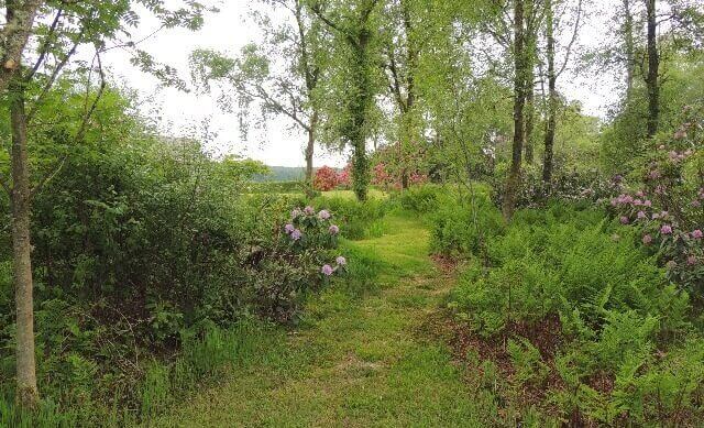 large colourful garden