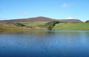 Loch on Brewlands Estate