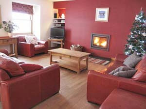 fire and luxury sofas for relaxation