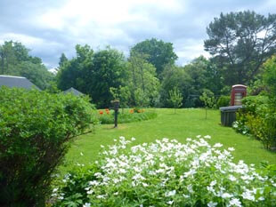garden