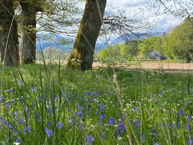 from afar Rose Cottage Crieff