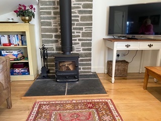 wood burning stove