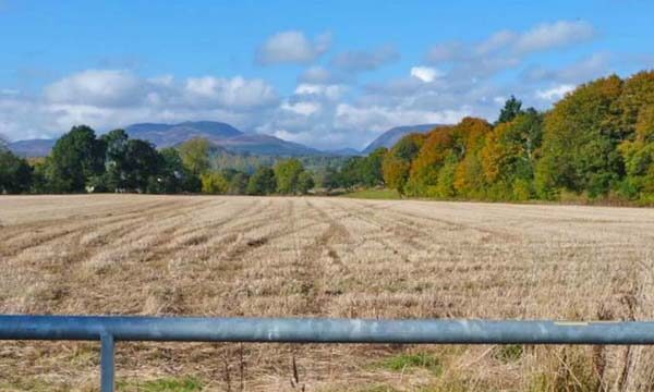 Mountain view towards Crieff