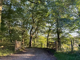 Drive to Broich Steading