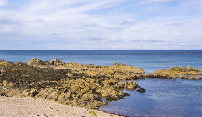 the sea and the sandy beach