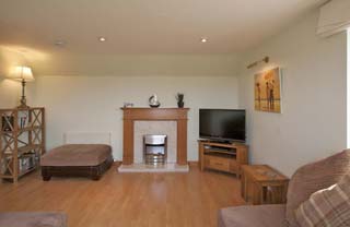 living room with fire place