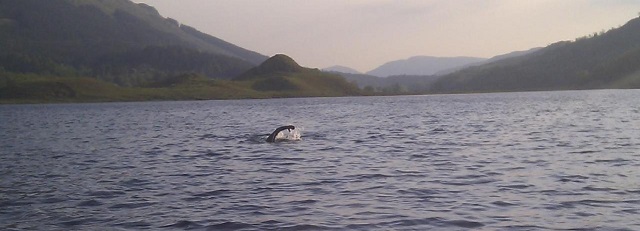 Loch on Portnellan Estate